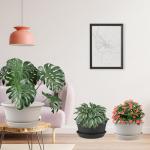 NNARRE 6 Pack 10 inch Plant Pot, Round Plastic Plant Pots, Outdoor Pots for Plants with Drainage Hole & Tray Saucer, Decoration Flower Pots for Indoor Plants Home Garden Outdoor Planters (Dark Gray)