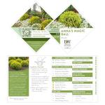 2 Gallon Proven Winners Anna's Magic Ball Arborvitae Shrub