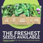 Organic Herb Seeds Variety Pack - 10 Individual Packs - 2025 Season - Basil, Cilantro, Dill, Thyme, Parsley and More! for Indoor & Outdoor Planting (Non-GMO, Certified Organic)