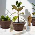 Nooulap 4 Pack Plant Pots Outdoor Indoor, 8 Inch Small Flower Pots with Drainage Hole & Tray, Thickened Plastic Outdoor Planters for Garden House Decor - Pebbles Pattern Design