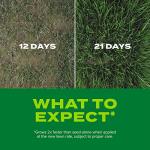 Scotts Turf Builder Rapid Grass Sun and Shade Mix, Combination Grass Seed and Fertilizer, Grows Green Grass in Just Weeks, 5.6 lbs.