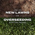 Scotts Turf Builder Rapid Grass Sun and Shade Mix, Combination Grass Seed and Fertilizer, Grows Green Grass in Just Weeks, 5.6 lbs.