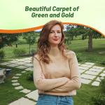 Outsidepride Irish Moss Ground Cover Seeds - 10000 Pcs Perennial Low Growing, Mat-Forming Lawn Alternative, Outdoor Ground Cover Seeds with Shade Tolerance, Ideal for Pathways and Rock Gardens