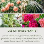 Garden Safe Brand TakeRoot Rooting Hormone, 2 Count, Powder Helps Grow New Plants from Cuttings Including Most Home, Garden and Greenhouse Varieties, 2 Pack