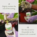 Garden Safe Brand TakeRoot Rooting Hormone, 2 Count, Powder Helps Grow New Plants from Cuttings Including Most Home, Garden and Greenhouse Varieties, 2 Pack