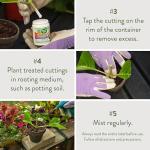 Garden Safe Brand TakeRoot Rooting Hormone, 2 Count, Powder Helps Grow New Plants from Cuttings Including Most Home, Garden and Greenhouse Varieties, 2 Pack