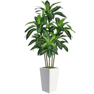 6FT Artificial Dracaena Tree, Fake Tree Indoor with White Tall Planter,Tall Artificial Plants Indoor,Artificial Silk Tree for Home Office Decor,Housewarming Gift (White)