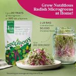 Seedphony Radish Sprouting & Microgreens Seeds - 50,000 Non-GMO Heirloom Seed, 1lb Resealable Bag - High-Germination Radish Seeds for Sprouting in Jars, Soil, Hydroponics & Microgreen Trays