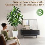 6FT Artificial Dracaena Tree, Fake Tree Indoor with White Tall Planter,Tall Artificial Plants Indoor,Artificial Silk Tree for Home Office Decor,Housewarming Gift (White)