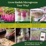 Seedphony Radish Sprouting & Microgreens Seeds - 50,000 Non-GMO Heirloom Seed, 1lb Resealable Bag - High-Germination Radish Seeds for Sprouting in Jars, Soil, Hydroponics & Microgreen Trays