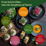 Seedphony Radish Sprouting & Microgreens Seeds - 50,000 Non-GMO Heirloom Seed, 1lb Resealable Bag - High-Germination Radish Seeds for Sprouting in Jars, Soil, Hydroponics & Microgreen Trays