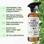 Kate's Home & Garden Plant Spray for Insects & Getting Rid of Gnats with 12 Sticky Traps. Fungus Gnat Killer & Bug Spray for Indoor Plants (16oz, Peppermint, Pet Safe, Non Toxic)