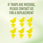 Kate's Home & Garden Plant Spray for Insects & Getting Rid of Gnats with 12 Sticky Traps. Fungus Gnat Killer & Bug Spray for Indoor Plants (16oz, Peppermint, Pet Safe, Non Toxic)