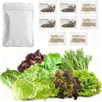 8 Varieties Greens Seeds Pack - 3,200+ Seeds (400 Seeds Each) Non-GMO Heirloom Seeds, Suitable for Indoor/Outdoor & Hydroponic Home Gardening