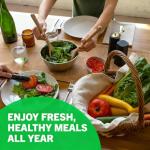 8 Varieties Greens Seeds Pack - 3,200+ Seeds (400 Seeds Each) Non-GMO Heirloom Seeds, Suitable for Indoor/Outdoor & Hydroponic Home Gardening