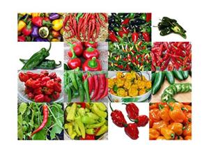 Please Read This is A Mix 30 Hot Pepper Mix Seeds 16 Varieties Heirloom Non-GMO Habanero, Tabasco, Jalapeno, Yellow and Red Scotch Bonnet, Jalapeno Habanero US Grown