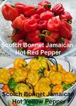 Please Read This is A Mix 30 Hot Pepper Mix Seeds 16 Varieties Heirloom Non-GMO Habanero, Tabasco, Jalapeno, Yellow and Red Scotch Bonnet, Jalapeno Habanero US Grown