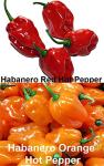 Please Read This is A Mix 30 Hot Pepper Mix Seeds 16 Varieties Heirloom Non-GMO Habanero, Tabasco, Jalapeno, Yellow and Red Scotch Bonnet, Jalapeno Habanero US Grown