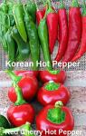 Please Read This is A Mix 30 Hot Pepper Mix Seeds 16 Varieties Heirloom Non-GMO Habanero, Tabasco, Jalapeno, Yellow and Red Scotch Bonnet, Jalapeno Habanero US Grown