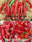 Please Read This is A Mix 30 Hot Pepper Mix Seeds 16 Varieties Heirloom Non-GMO Habanero, Tabasco, Jalapeno, Yellow and Red Scotch Bonnet, Jalapeno Habanero US Grown