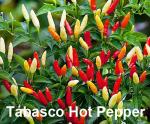 Please Read This is A Mix 30 Hot Pepper Mix Seeds 16 Varieties Heirloom Non-GMO Habanero, Tabasco, Jalapeno, Yellow and Red Scotch Bonnet, Jalapeno Habanero US Grown