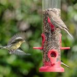 Kingsyard 2 Pack Tube Bird Feeders for Outdoors Hanging, Premium Hard Plastic Bird Feeder with 6 Feeding Ports, Weatherproof & Steel Hanger, Attracting for Wild Birds (Red)