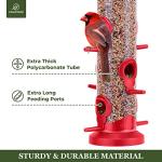 Kingsyard 2 Pack Tube Bird Feeders for Outdoors Hanging, Premium Hard Plastic Bird Feeder with 6 Feeding Ports, Weatherproof & Steel Hanger, Attracting for Wild Birds (Red)