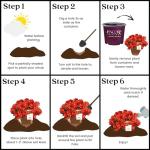 Encore Azalea Autumn Bravo Shrub, 1 Gal, Blazing Red