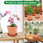 Tuqaumu 6 Pack 6 Inch Terracotta & Clay Pots with Saucer for Plants, Large Terra Cotta Plant Pot with Drainage Hole, Flowerpot for Indoor Outdoor Plants, Crafts, Wedding Favor