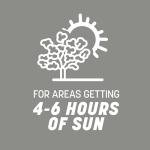 Pennington Contractors Grass Seed Mix Central 7 lb