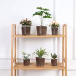 JERIA 30 Pack 6/5/4Inch Clear Nursery Pots with Drainage Holes, Clear Plant Pot for Planting, Transparent Plastic Plant Pots,Durable Seed Starting Pot for Succulents