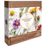 BUZZY Seeds Apothecary Garden Wellness Kit with 9 Varieties of Non-GMO Flower and Herb Seeds, Terracotta Pots, Growing Medium, and Plant Markers, a Self-Care Gift for Holistic Living