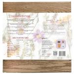 BUZZY Seeds Apothecary Garden Wellness Kit with 9 Varieties of Non-GMO Flower and Herb Seeds, Terracotta Pots, Growing Medium, and Plant Markers, a Self-Care Gift for Holistic Living