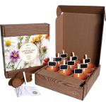 BUZZY Seeds Apothecary Garden Wellness Kit with 9 Varieties of Non-GMO Flower and Herb Seeds, Terracotta Pots, Growing Medium, and Plant Markers, a Self-Care Gift for Holistic Living