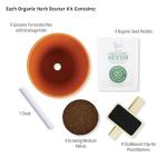 BUZZY Seeds Apothecary Garden Wellness Kit with 9 Varieties of Non-GMO Flower and Herb Seeds, Terracotta Pots, Growing Medium, and Plant Markers, a Self-Care Gift for Holistic Living