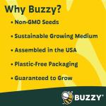 BUZZY Seeds Apothecary Garden Wellness Kit with 9 Varieties of Non-GMO Flower and Herb Seeds, Terracotta Pots, Growing Medium, and Plant Markers, a Self-Care Gift for Holistic Living