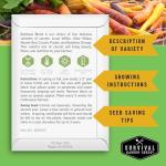 Fall & Winter Vegetable Seed Collection – 8 Packs of Non-GMO Heirloom Seeds for Planting Vegetables | Autumn & Indoor Gardening Seed Pack – Survival Garden Seeds