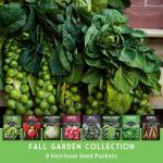 Fall & Winter Vegetable Seed Collection – 8 Packs of Non-GMO Heirloom Seeds for Planting Vegetables | Autumn & Indoor Gardening Seed Pack – Survival Garden Seeds