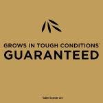 Scotts EZ Seed Patch & Repair Tall Fescue Lawns Combination Mulch, Grass Seed and Fertilizer for Bare Spots and Repair, Grows Anywhere, 3.75 lb.