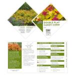 2 Gallon Proven Winners Spirea Double Play Candy Corn Shrub