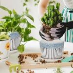 Ceramic Plant Pots Set of 3, 6.75/5.6/4.2 inch Planters with Drainage Holes and Saucer, Flower Pot Outdoor Indoor, Modern Decorative Planters for House Plants Garden Planters Succulent Pots