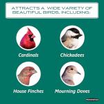 Pennington Select Safflower Seed 15 lb Bag