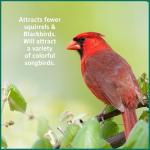 Pennington Select Safflower Seed 15 lb Bag