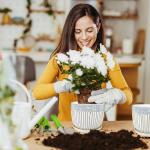 Ceramic Plant Pots Set of 3, 6.75/5.6/4.2 inch Planters with Drainage Holes and Saucer, Flower Pot Outdoor Indoor, Modern Decorative Planters for House Plants Garden Planters Succulent Pots