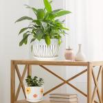 Ceramic Plant Pots Set of 3, 6.75/5.6/4.2 inch Planters with Drainage Holes and Saucer, Flower Pot Outdoor Indoor, Modern Decorative Planters for House Plants Garden Planters Succulent Pots