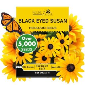 Black Eyed Susan Seeds for Planting, 5000 Seeds, Giving You Beautiful Black Eyed Susan Flowers, Non-GMO, Heirloom Seed Varieties