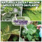 Trifecta Crop Control Super Concentrate All-in-One Natural Pesticide, Fungicide, Miticide, Insecticide, Help Defeat Spider Mites, Powdery Mildew, Botrytis, Mold, and More on Plants 4 OZ