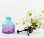 Hniuyun Glass Plant Mister Spray Bottle, 6.4 All Vintage Plant Spritzer Watering Can, Bronze Plastic Top Pump, Plant Mister Glass Watering Garden Tool (Blue Violet Gradient)