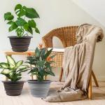 KPUVX Large-Planter-Indoor-Outdoor Plant Pots, 12 inch 3 Pack Plastic Flower Pots with Saucer and Drainage Holes, Retro Antique Imitation Decorative Garden Containers Sets for Houseplant