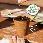 Back to the Roots 100% Organic Seed Packet - Echinacea 'Purple Coneflower' 210mg